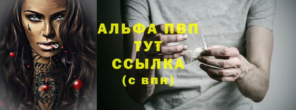 PSILOCYBIN Кизел