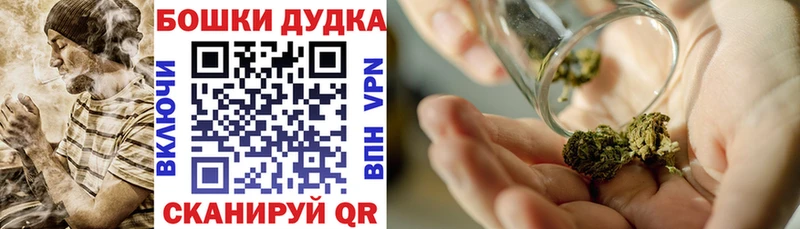 omg как войти  Нея  Шишки марихуана VHQ 